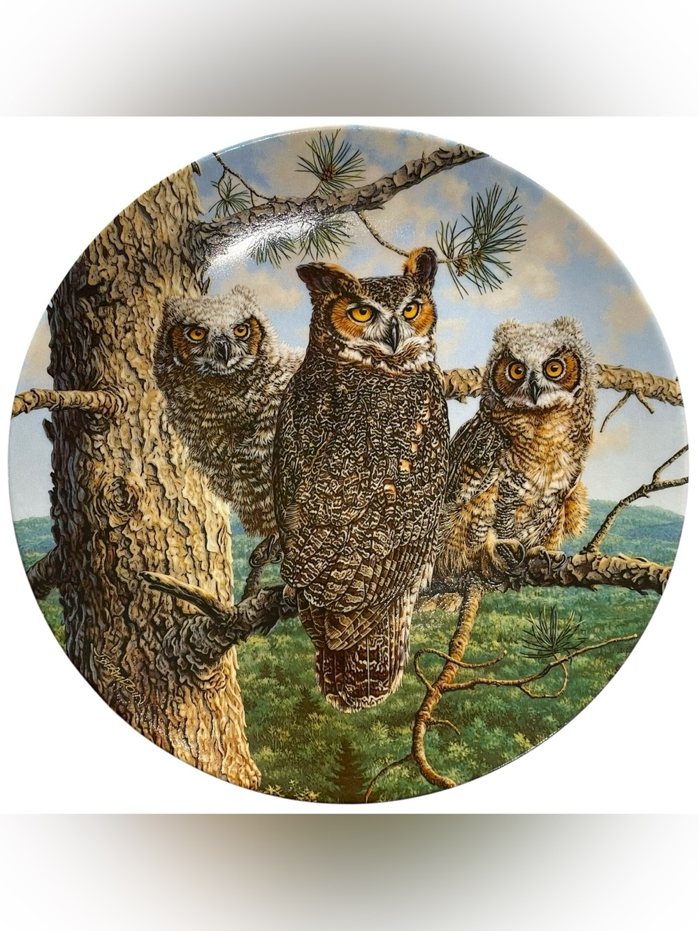 Vintage 1990s Lofty Limb Great Horned Owls Collectors Plate Artist Jim Beaudoin